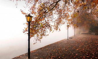 Небольшие дожди и туман. Какой будет погода в Беларуси 9 октября