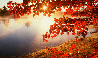 Облачно, преимущественно без осадков. Какой будет погода в Беларуси 6 октября