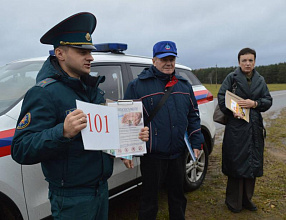 С начала года в Новогрудском районе произошло 38 пожаров, на которых погибшими найдены 4 человека