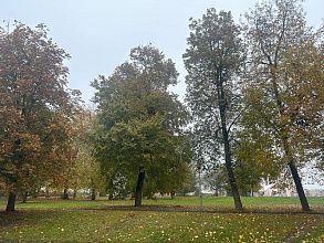 Порывистый ветер и дожди. Чего ждать от погоды в Беларуси 12 октября