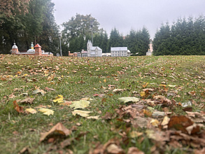 Дожди и до +16°С ожидается сегодня в Беларуси