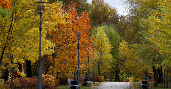 Временами дожди, возможен туман. Какой будет погода в Беларуси 17 октября