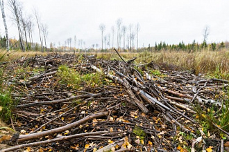 Какие недоработки выявила прокуратура Новогрудского района в Год благоустройства?
