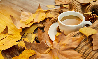 До +12°С будет сегодня в Беларуси, временами пройдут дожди