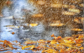 Кратковременные дожди прогнозируются в Беларуси 14 октября, возможен мокрый снег