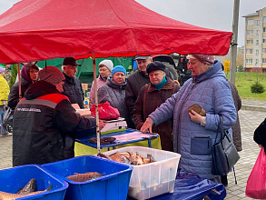 В Новогрудке проходит ярмарка! Душевный праздник для всей семьи ждет гостей