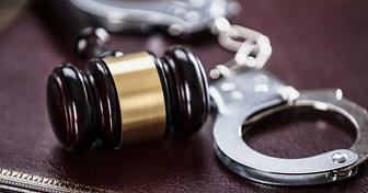 Жительница Новогрудка стала фигуранткой уголовного дела за кражу телефона