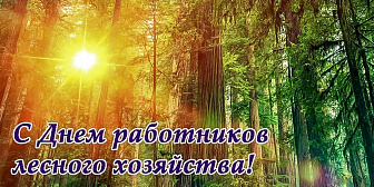 Віншаванне Навагрудскага раённага выканаўчага камітэта і раённага Савета дэпутатаў з Днём работнікаў лясной гаспадаркі