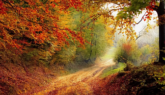 Кратковременные дожди, местами заморозки. Какой будет погода в Беларуси 15 октября